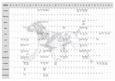 Bracco Italiano Dog Show 2022 Year Planner A4