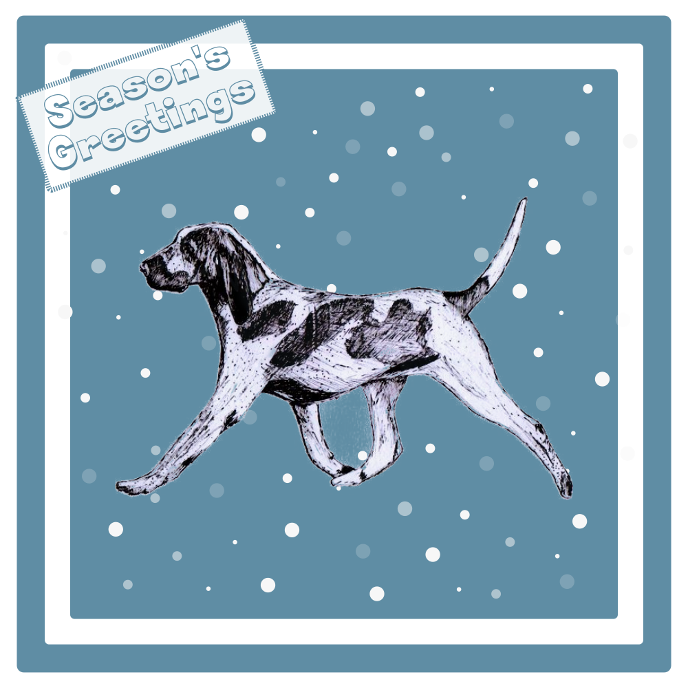 Bracco Italiano Christmas Card Choice of 3 Card Designs Single or Multi Pack