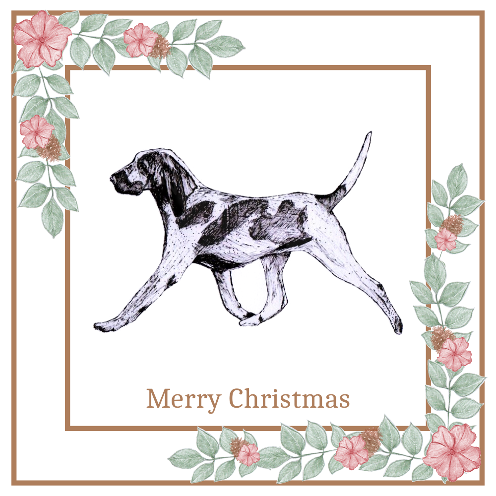 Bracco Italiano Christmas Card Choice of 3 Card Designs Single or Multi Pack