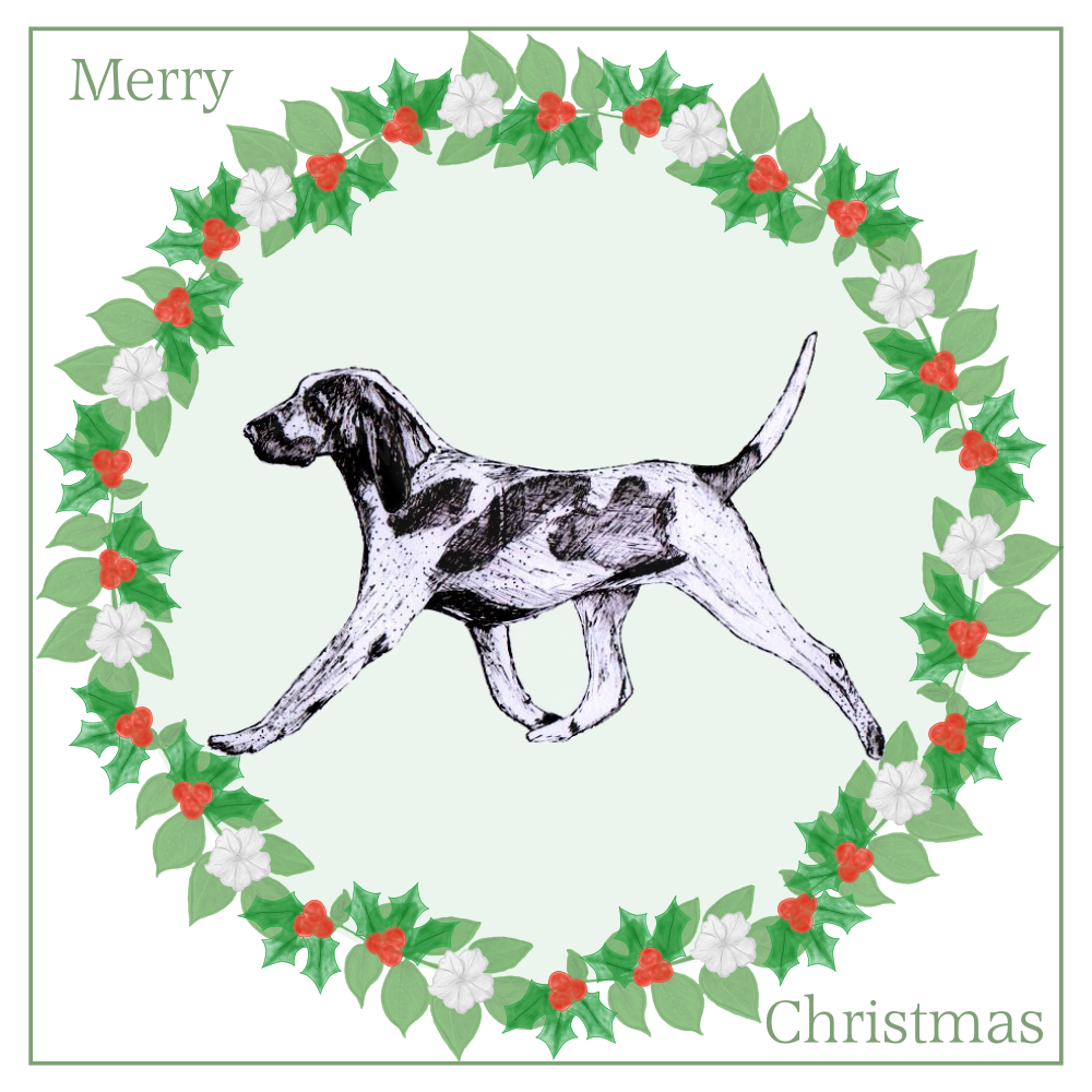 Bracco Italiano Christmas Card Choice of 3 Card Designs Single or Multi Pack