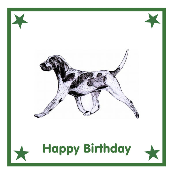 Bracco Italiano Greeting Card Choice of 6 Designs BIRTHDAY, THINKING OF YOU, BLANK