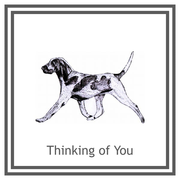 Bracco Italiano Greeting Card Choice of 6 Designs BIRTHDAY, THINKING OF YOU, BLANK