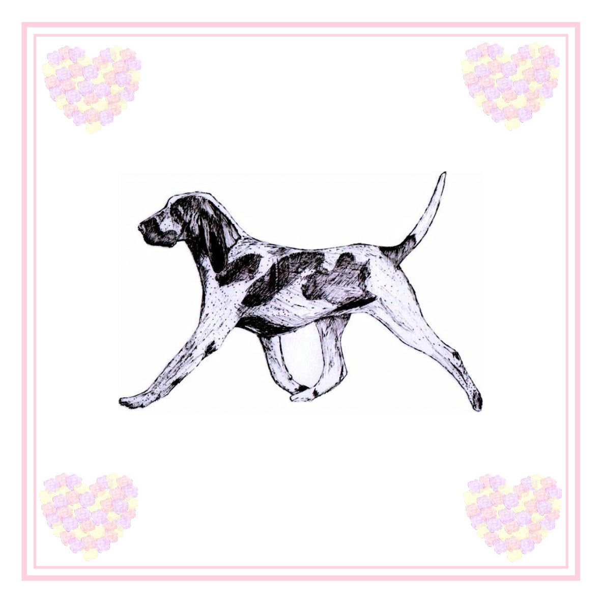 Bracco Italiano Greeting Card Choice of 6 Designs BIRTHDAY, THINKING OF YOU, BLANK