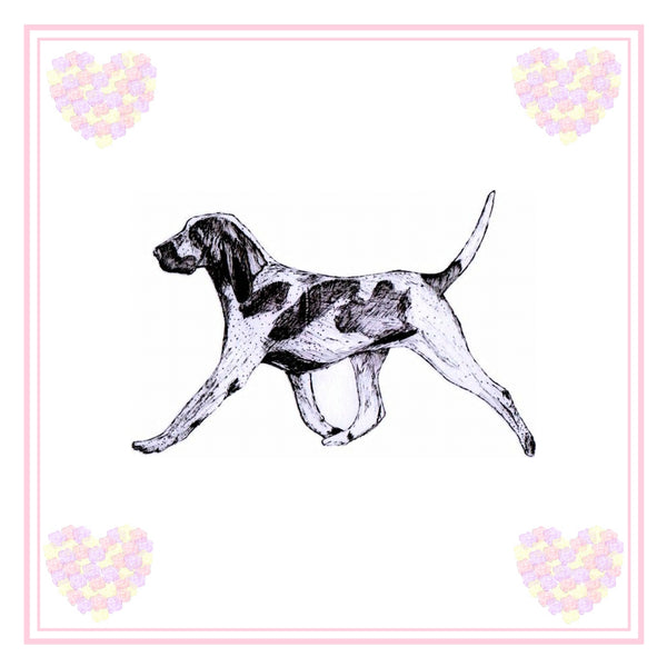 Bracco Italiano Greeting Card Choice of 6 Designs BIRTHDAY, THINKING OF YOU, BLANK