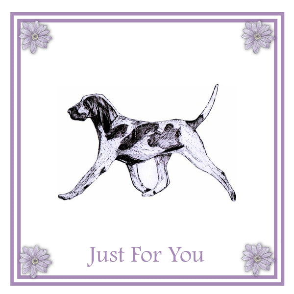 Bracco Italiano Greeting Card Choice of 6 Designs BIRTHDAY, THINKING OF YOU, BLANK