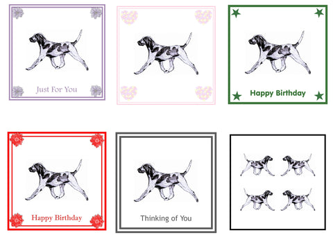 Bracco Italiano Greeting Card Choice of 6 Designs BIRTHDAY, THINKING OF YOU, BLANK