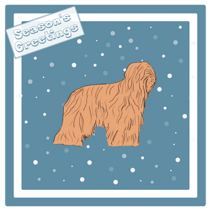 Briard Christmas Card Choice of 3 Card Designs Single or Multi Pack