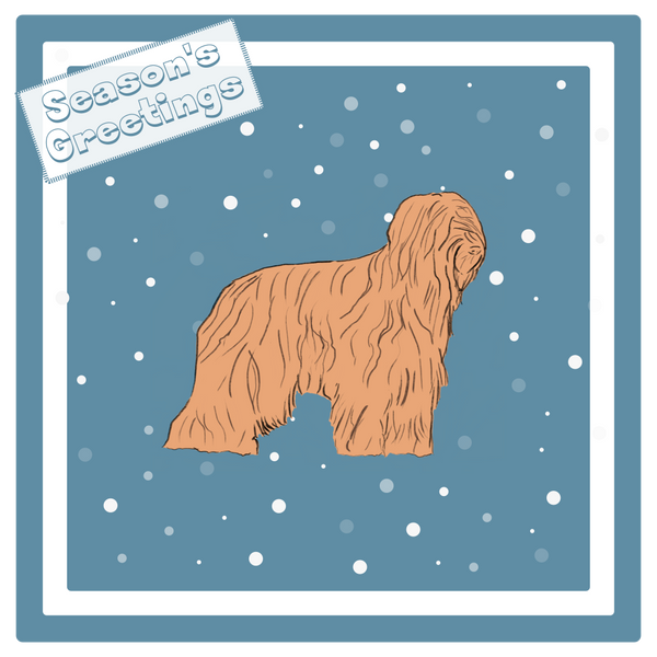 Briard Christmas Card Choice of 3 Card Designs Single or Multi Pack