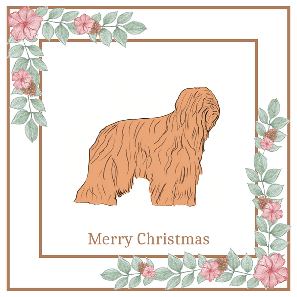 Briard Christmas Card Choice of 3 Card Designs Single or Multi Pack