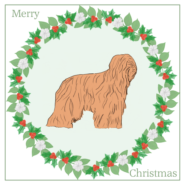 Briard Christmas Card Choice of 3 Card Designs Single or Multi Pack