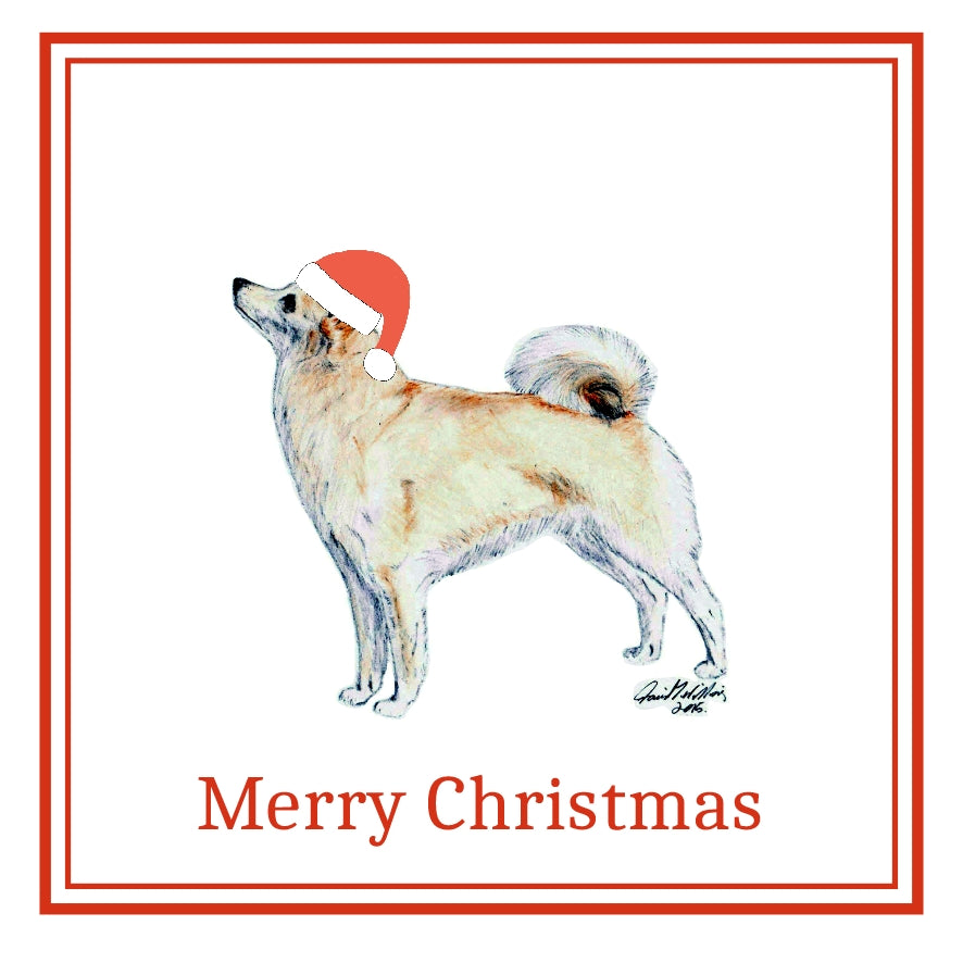 Norwegian Buhund Christmas Cards Pack of 6