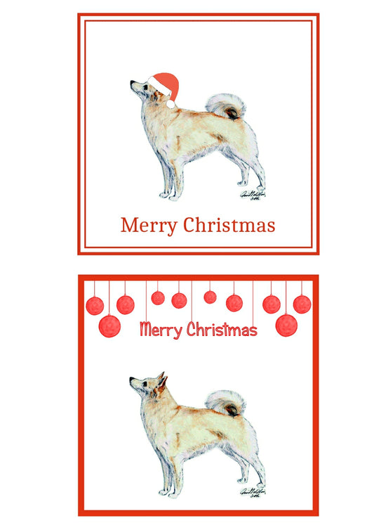 Norwegian Buhund Christmas Cards Pack of 6
