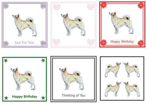 Buhund Greeting Card Choice of 6 Designs BIRTHDAY, THINKING OF YOU, BLANK