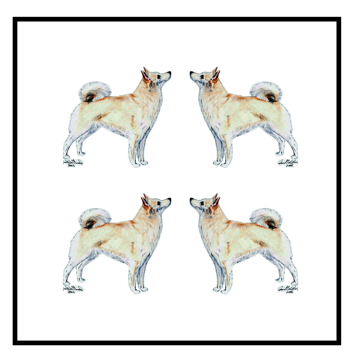 Buhund Greeting Card Choice of 6 Designs BIRTHDAY, THINKING OF YOU, BLANK