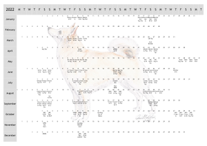 Norwegian Buhund Dog Show 2022 Year Planner A4