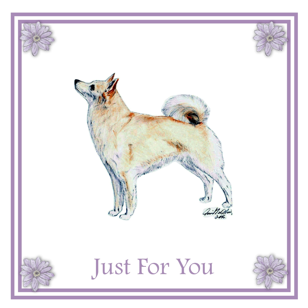 Buhund Greeting Card Choice of 6 Designs BIRTHDAY, THINKING OF YOU, BLANK