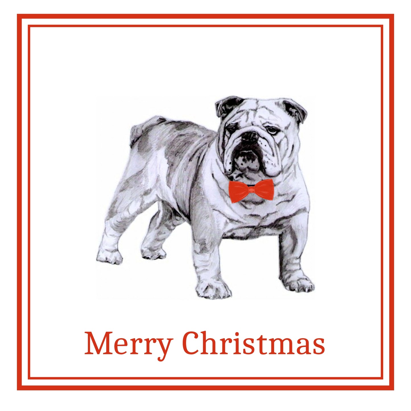 Bulldog Christmas Cards Pack of 6