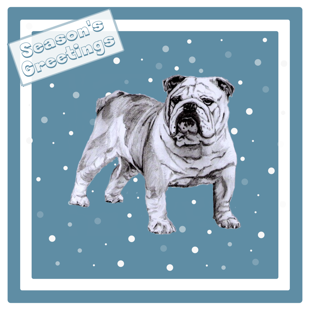 Bulldog Christmas Card Choice of 3 Card Designs Single or Multi Pack
