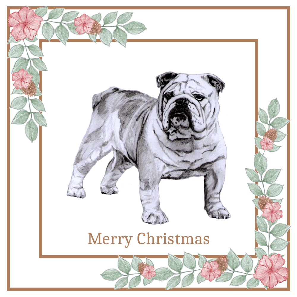 Bulldog Christmas Card Choice of 3 Card Designs Single or Multi Pack