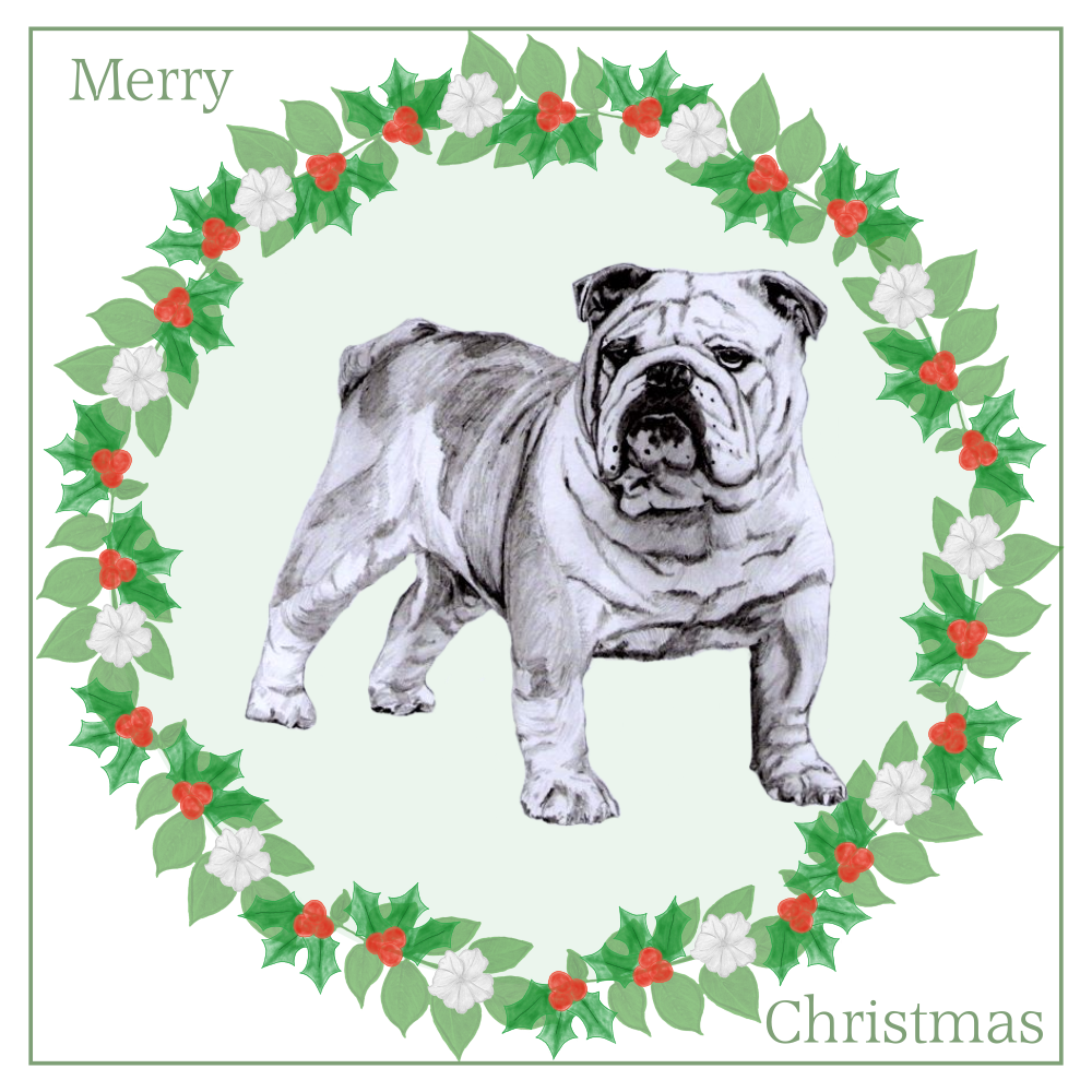 Bulldog Christmas Card Choice of 3 Card Designs Single or Multi Pack