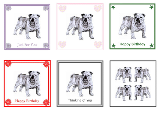 Bulldog Greeting Card Choice of 6 Designs BIRTHDAY, THINKING OF YOU, BLANK