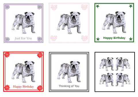 Bulldog Greeting Card Choice of 6 Designs BIRTHDAY, THINKING OF YOU, BLANK