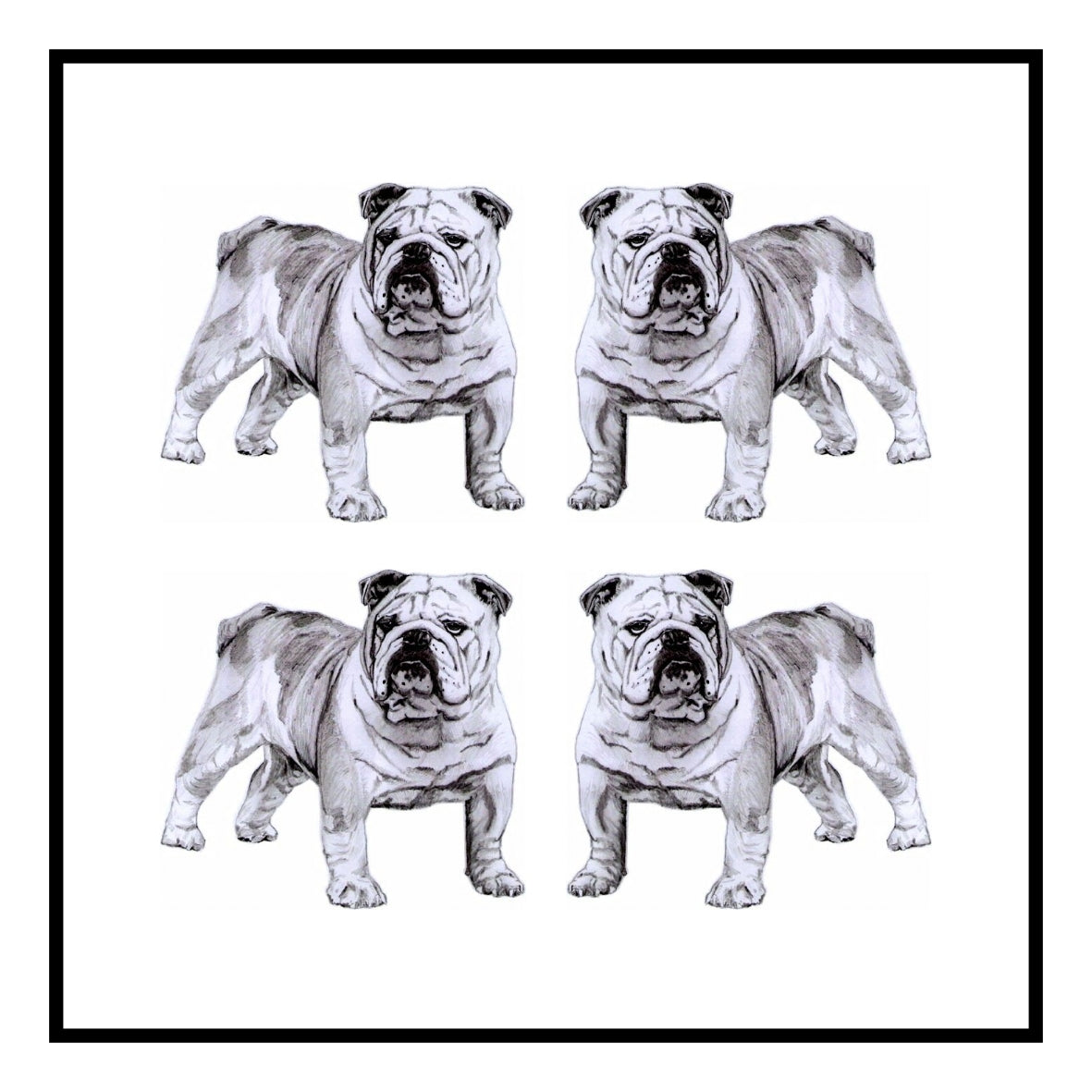 Bulldog Greeting Card Choice of 6 Designs BIRTHDAY, THINKING OF YOU, BLANK