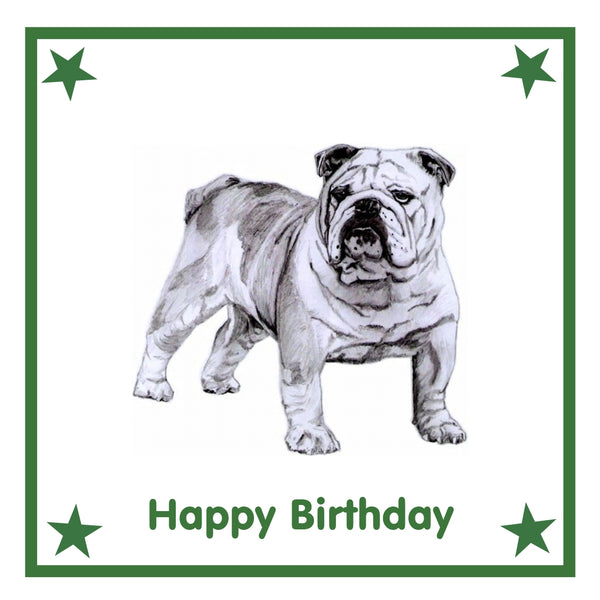 Bulldog Greeting Card Choice of 6 Designs BIRTHDAY, THINKING OF YOU, BLANK