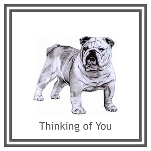 Bulldog Greeting Card Choice of 6 Designs BIRTHDAY, THINKING OF YOU, BLANK