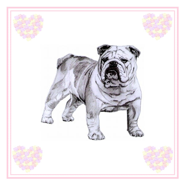 Bulldog Greeting Card Choice of 6 Designs BIRTHDAY, THINKING OF YOU, BLANK