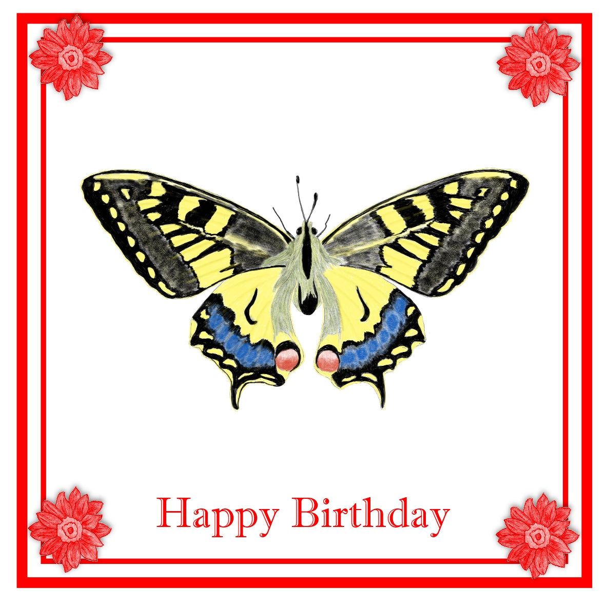 Butterfly Greeting Card Choice of 6 Designs BIRTHDAY, THINKING OF YOU, BLANK