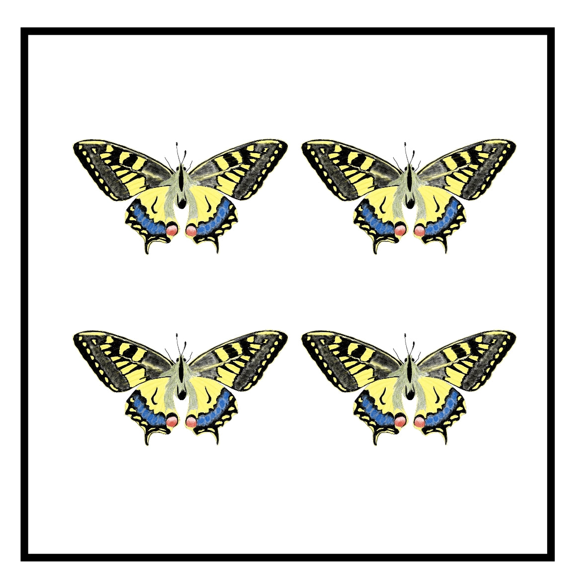 Butterfly Greeting Card Choice of 6 Designs BIRTHDAY, THINKING OF YOU, BLANK