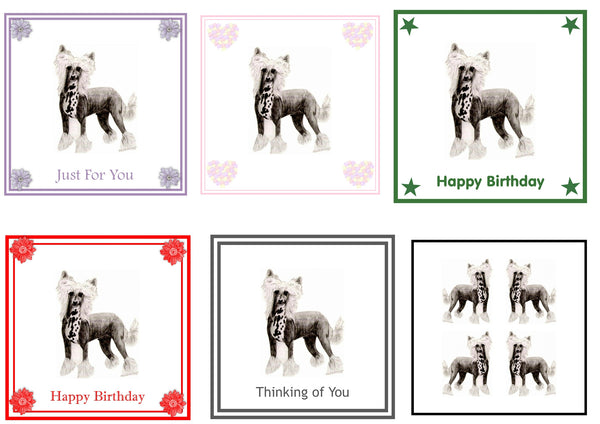 Chinese Crested Greeting Card Choice of 6 Designs BIRTHDAY, THINKING OF YOU, BLANK