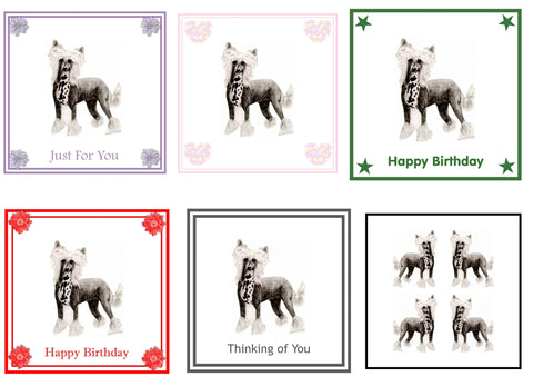 Chinese Crested Greeting Card Choice of 6 Designs BIRTHDAY, THINKING OF YOU, BLANK