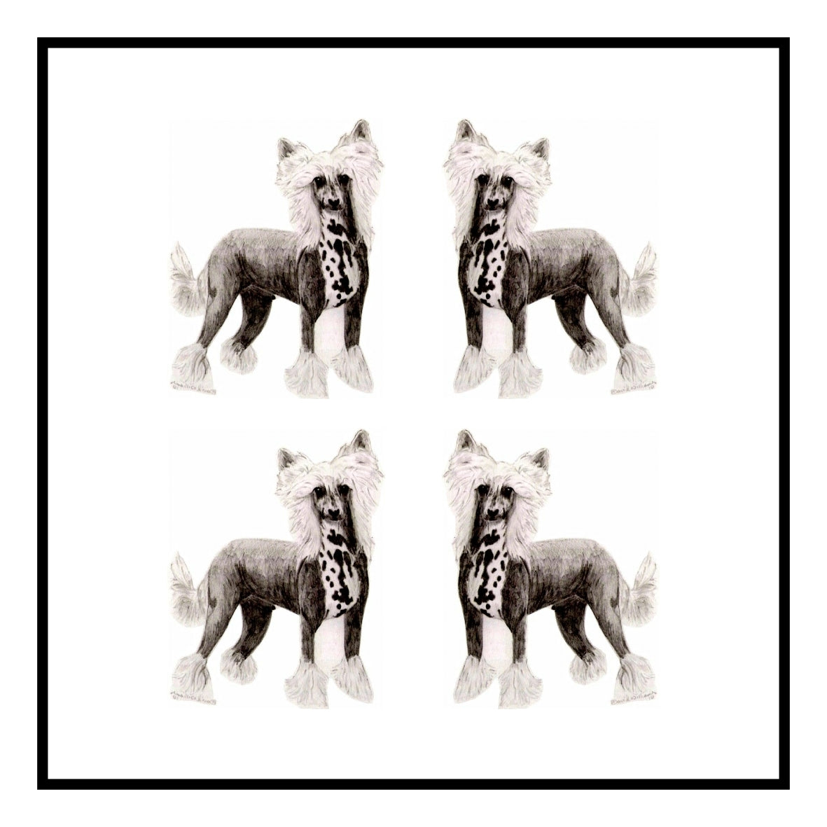 Chinese Crested Greeting Card Choice of 6 Designs BIRTHDAY, THINKING OF YOU, BLANK