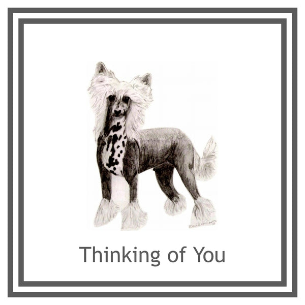 Chinese Crested Greeting Card Choice of 6 Designs BIRTHDAY, THINKING OF YOU, BLANK