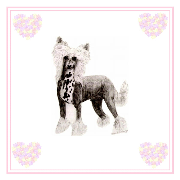 Chinese Crested Greeting Card Choice of 6 Designs BIRTHDAY, THINKING OF YOU, BLANK