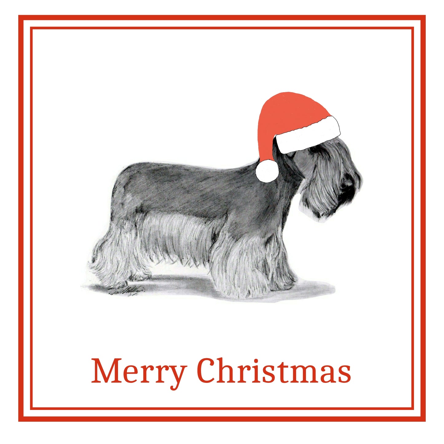 Cesky Terrier Christmas Cards Pack of 6