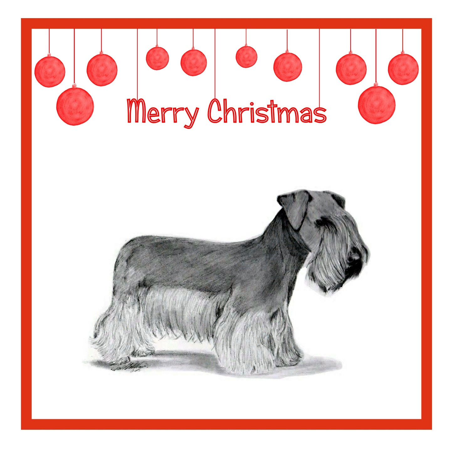 Cesky Terrier Christmas Cards Pack of 6