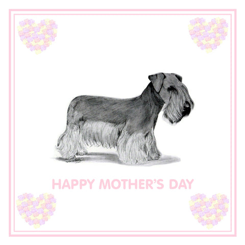 Cesky Terrier Mother's Day Card PERSONALISATION AVAILABLE