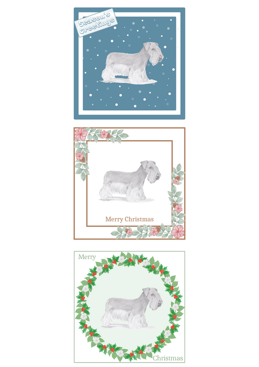 Cesky Terrier Christmas Card Choice of 3 Card Designs Single or Multi Pack