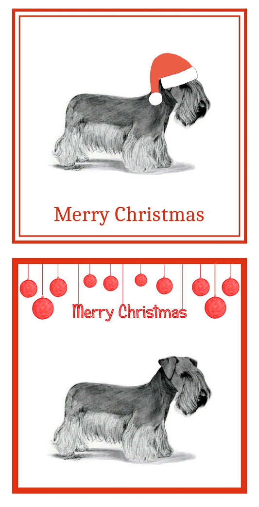 Cesky Terrier Christmas Cards Pack of 6