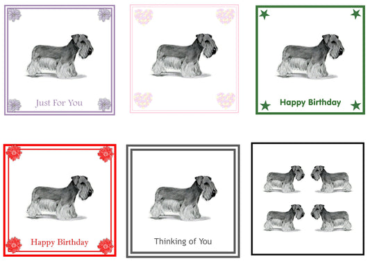 Cesky Terrier Greeting Card Choice of 6 Designs BIRTHDAY, THINKING OF YOU, BLANK