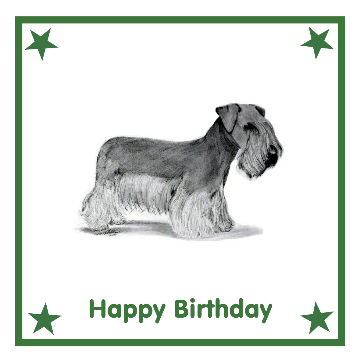 Cesky Terrier Greeting Card Choice of 6 Designs BIRTHDAY, THINKING OF YOU, BLANK