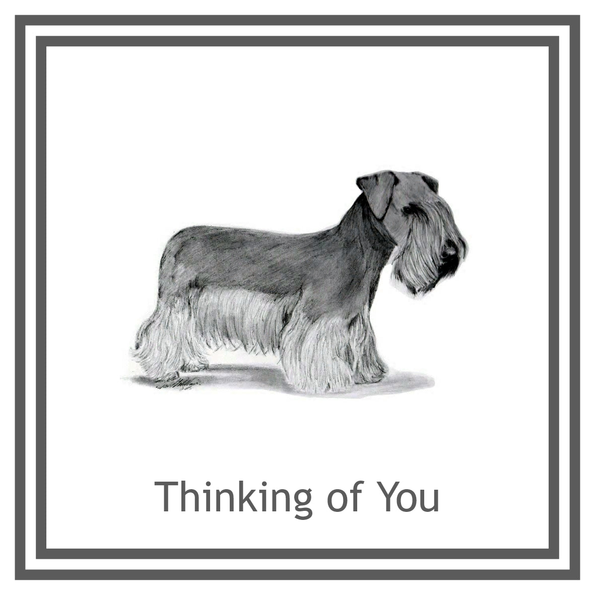 Cesky Terrier Greeting Card Choice of 6 Designs BIRTHDAY, THINKING OF YOU, BLANK