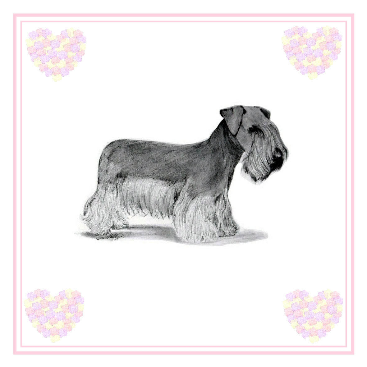 Cesky Terrier Greeting Card Choice of 6 Designs BIRTHDAY, THINKING OF YOU, BLANK