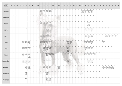 Chinese Crested Dog Show 2022 Year Planner A4