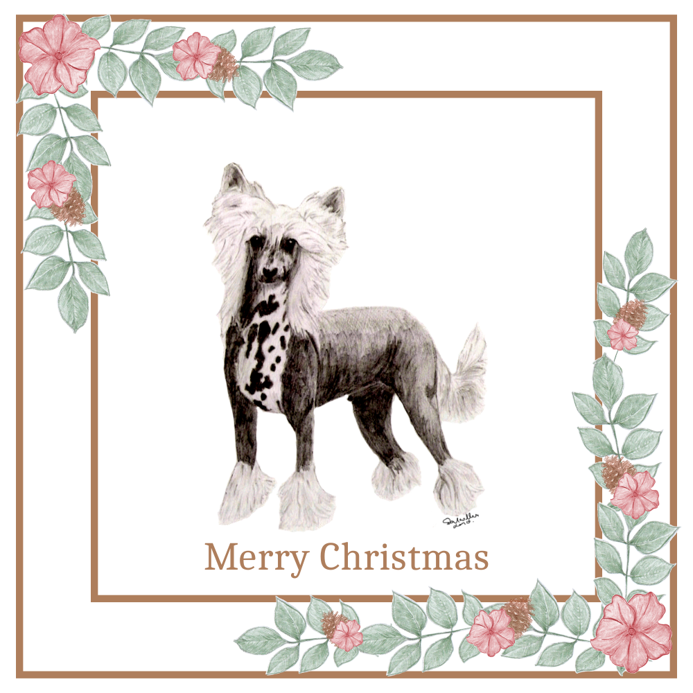 Chinese Crested Christmas Card Choice of 3 Card Designs Single or Multi Pack