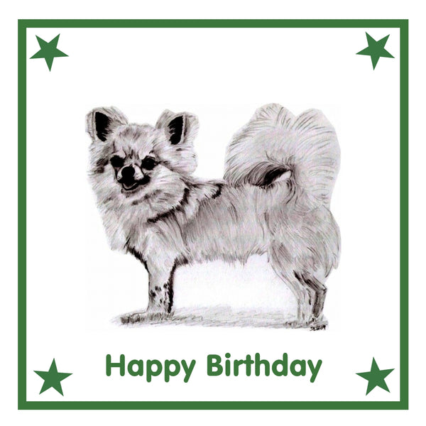 L/C Chihuahua Greeting Card Choice of 6 Designs BIRTHDAY, THINKING OF YOU, BLANK