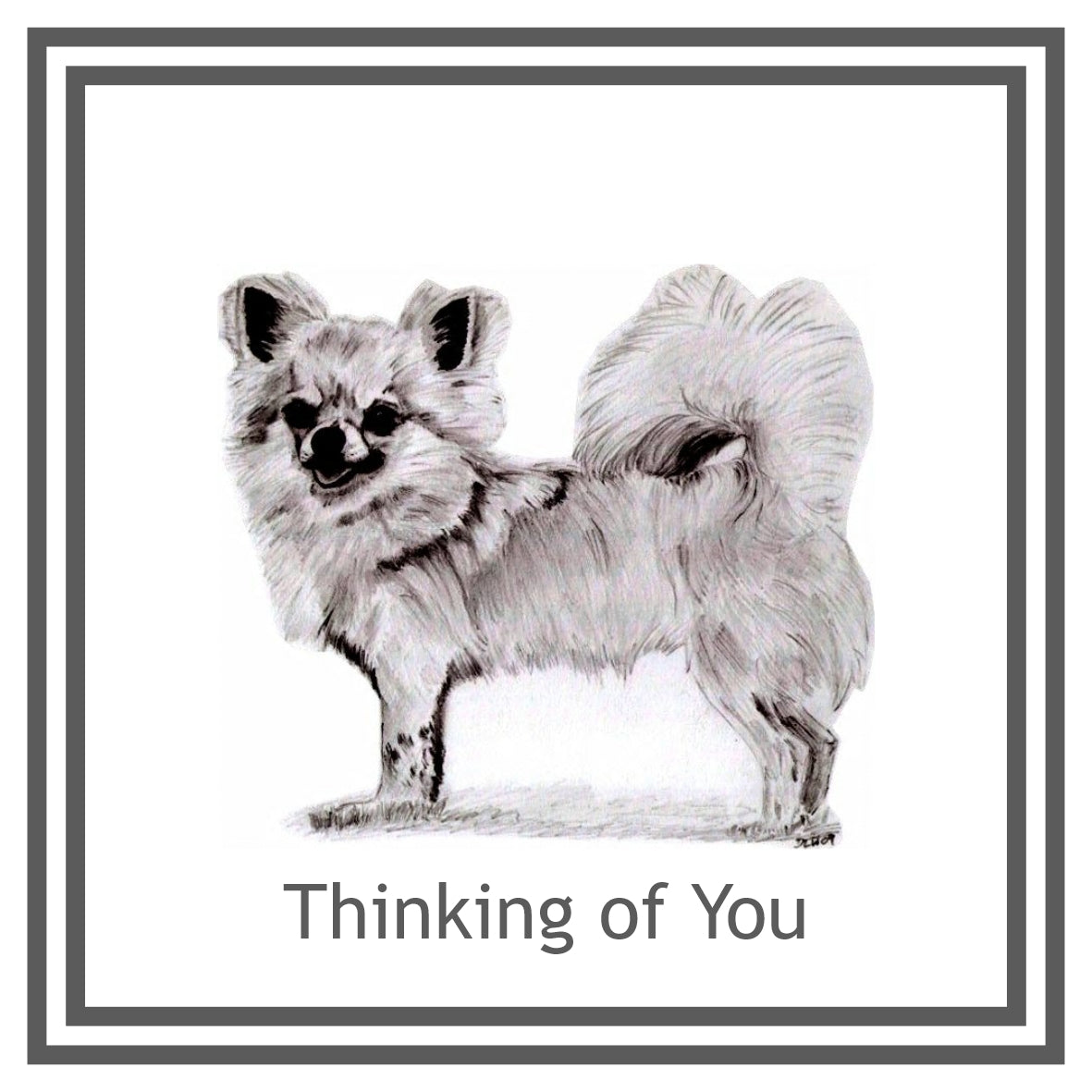 L/C Chihuahua Greeting Card Choice of 6 Designs BIRTHDAY, THINKING OF YOU, BLANK